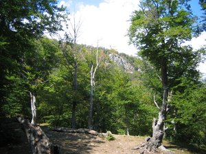 IMG_5253.JPG