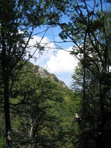 IMG_5254.JPG