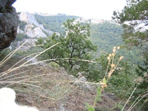 IMG_5273.JPG