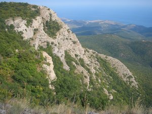 IMG_5280.JPG