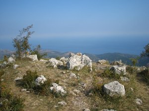 IMG_5287.JPG