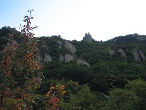 IMG_5291.JPG