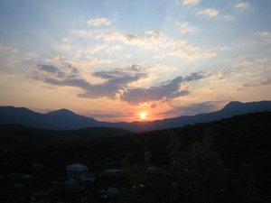 IMG_5298.JPG