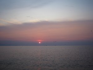 IMG_5302.JPG