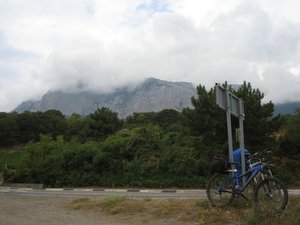 IMG_5310.JPG