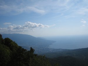 IMG_5315.JPG