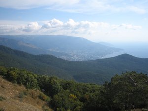 IMG_5317.JPG