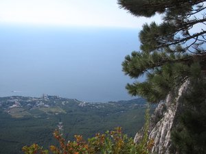 IMG_5318.JPG