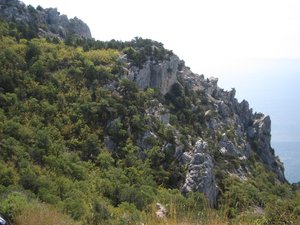 IMG_5357.JPG