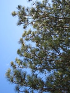 IMG_5364.JPG