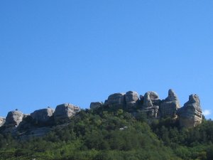 IMG_5370.JPG