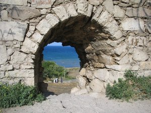 IMG_5422.JPG