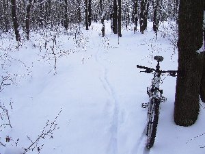 DSCF0513.JPG