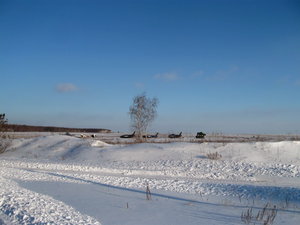 IMG_3488.jpg