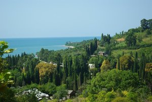 IMGP7879.JPG