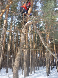 model1.jpg (232.04 КБ) 16038 просмотров Модель№1 из партии с заклинившим навигатором - Wowanbezbash