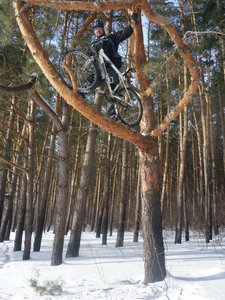 model2.jpg (212.49 КБ) 16038 просмотров Модель№2 - Radler