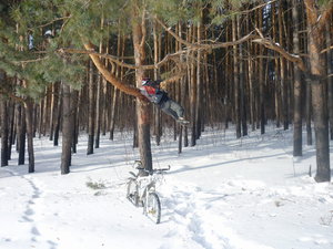 wind.jpg (176.87 КБ) 16038 просмотров Модель№2 сдуло с дерева сильным боковым ветром