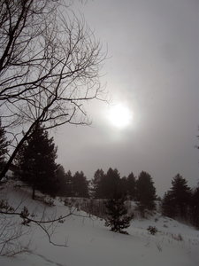 IMG_38021.jpg