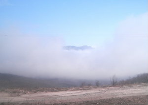 Демерджи южная.