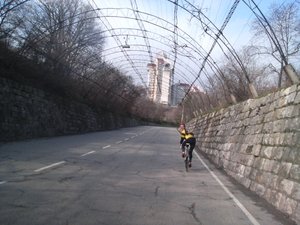 608.jpg