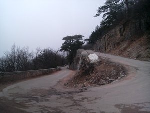 635.jpg