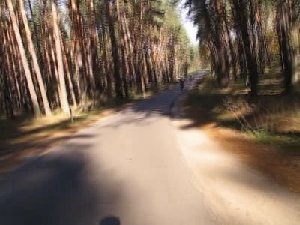 sunny_day22.avi - 00019.jpg