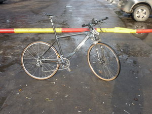 orbea.jpg