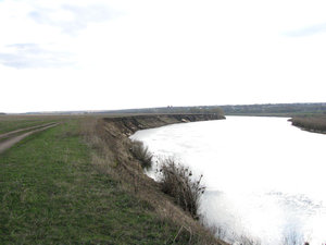 IMG_3330.jpg