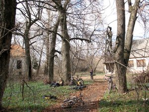 IMG_0222.jpg