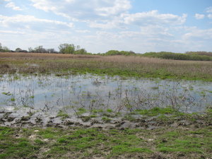 IMG_6029.JPG