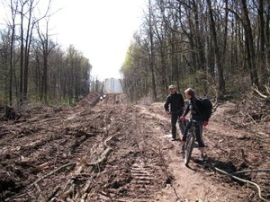 А теперь где белки *рали, мы проложим магистрали