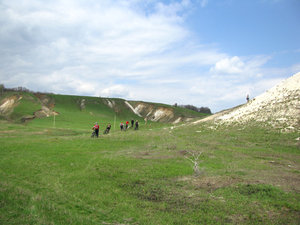 IMG_3344.jpg