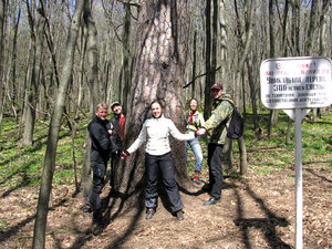 IMG_3423.jpg