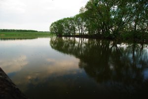 IMGP9753.JPG