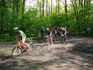 start3.jpg