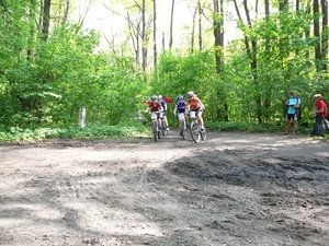 start6.jpg