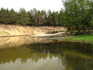 IMG_0661.JPG
