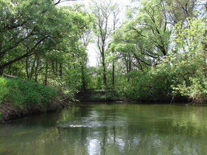 IMG_0865.JPG