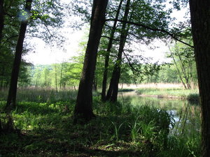 IMG_1120.JPG