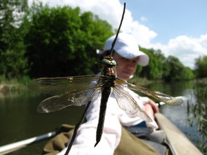IMG_1225.JPG