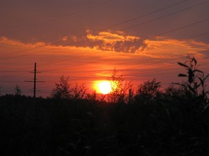 IMG_5236.JPG