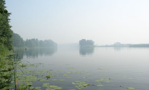 P8010011.JPG