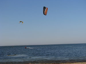 6.jpg (79.68 КБ) 9222 просмотра Что нам ветер...