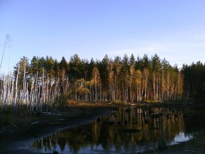 вот что летняя жара оставила от маклокского озера