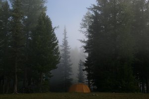 2010-07-30 04-27-51-Watman-Canon.JPG