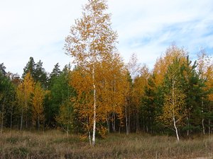IMG_5618.JPG