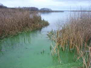 greenriver1.jpg