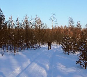 1001-1.jpg