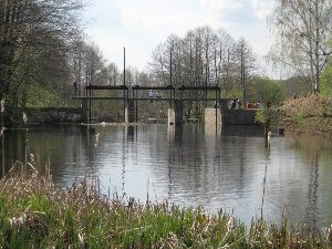IMG_2074.jpg